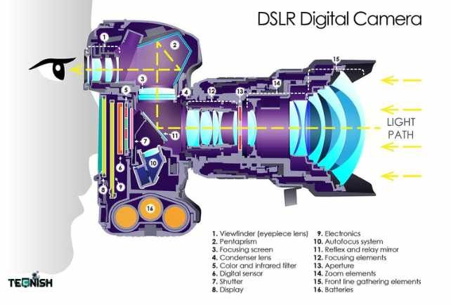 How a DSLR Camera Works