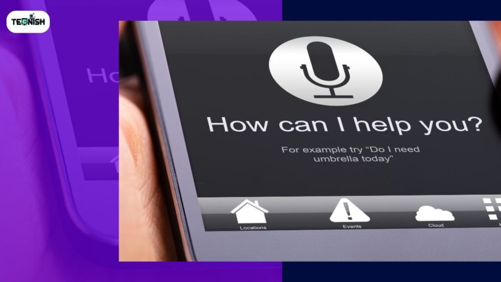 Third-Party Voice Assistants